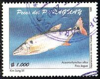 [Native Fish, 유형 EGL]
