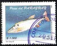 [Native Fish, 유형 EGL]