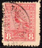 [Southern Lapwing, type FO5]