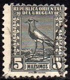 [Southern Lapwing, Tipe GD]