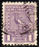 [Southern Lapwing, Tipe GE]