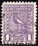 [Southern Lapwing, Tipe GE]