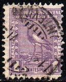 [Southern Lapwing, Tipe GE]