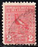 [Southern Lapwing, Tipe GF]