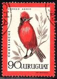 [Airmail - Birds, type OU]