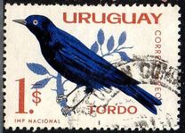 [Airmail - Birds, type OV]