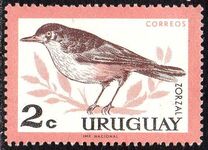 [Birds, type PE]