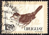 [Birds, type PG]