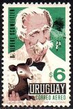 [Airmail - Albert Schweitzer, tipas SM]
