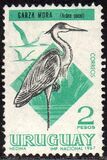 [Birds, tipas TX]