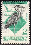 [Birds, tipas TX]