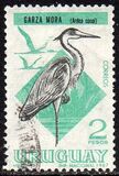 [Birds, tipas TX]