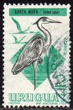 [Birds, tipas TX]