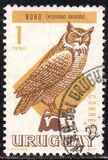 [Birds, type UA]