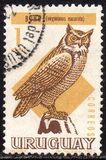 [Birds, type UA]