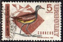 [Birds, type UB]