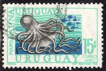 [Airmail - Uruguayan Marine Fauna, タイプ UG]