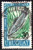 [Airmail - Uruguayan Marine Fauna, タイプ UJ]