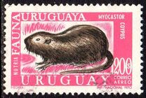 [Airmail - Local Fauna, tegund XW]