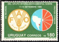 [The 8th IAnniversary of the Intergovernmental Group on Citrus Fruits Meeting, type APA]