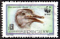 [The Greater Rhea, වර්ගය AWG]