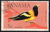 [Birds, Tip RG]