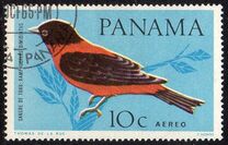 [Birds, Tip RH]