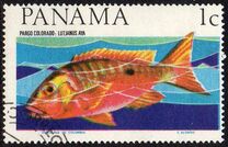 [Marine Life, тып RI]