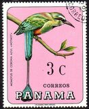 [Birds, Вид UJ]