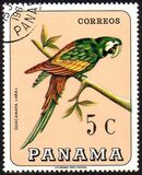 [Birds, Вид UL]