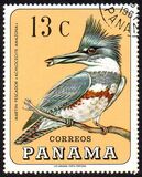 [Birds, Вид UM]