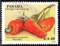 [Fruits, type AMM]