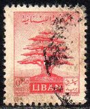[Cedar of Lebanon and Bridge, tegund XDH]