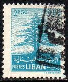 [Cedar of Lebanon,  Baalbek and Beaufort, type XDK2]