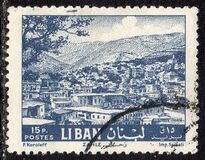 [Cedar of Lebanon, Zahle, tegund HW1]