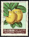 [Airmail - Fruits, ประเภท JL]