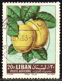 [Airmail - Fruits, ประเภท JL]