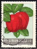 [Airmail - Fruits, ประเภท JN]