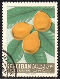 [Airmail - Fruits, ประเภท JP]
