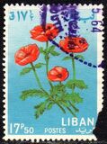 [Flowers, 類型 KP]