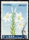 [Airmail - Flowers, type KS]