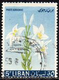 [Airmail - Flowers, type KS]
