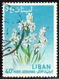 [Airmail - Flowers, type KV]