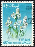 [Airmail - Flowers, type KV]