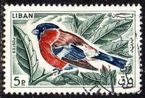 [Birds, type LR]