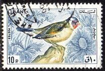 [Birds, type LS]