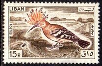[Birds, type LT]