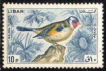 [Birds, type LS]
