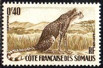 [Fauna, 类型 CQ]