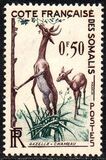 [Fauna, 类型 CR]